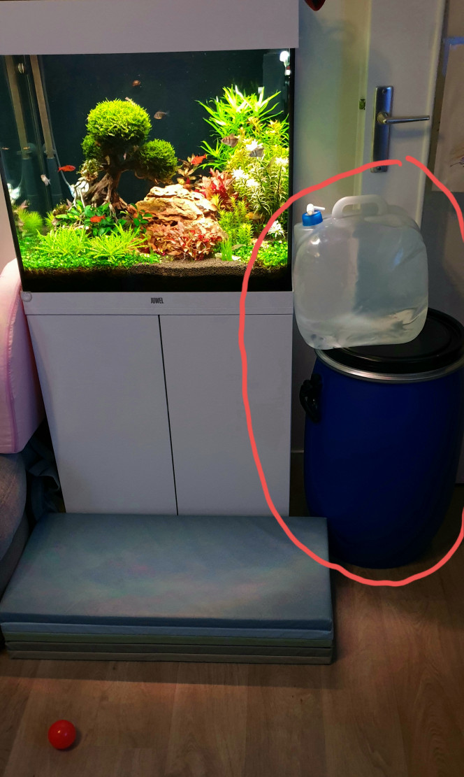 Dennerle Nano Filtre d'angle, Filtres pour Aquariums de 10 à 90 litres