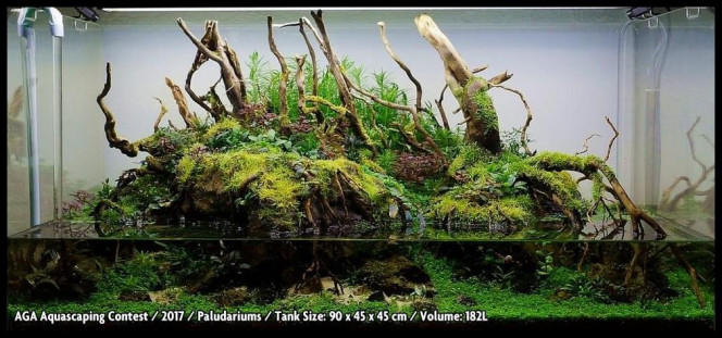 Photographie du post de NakMuay 