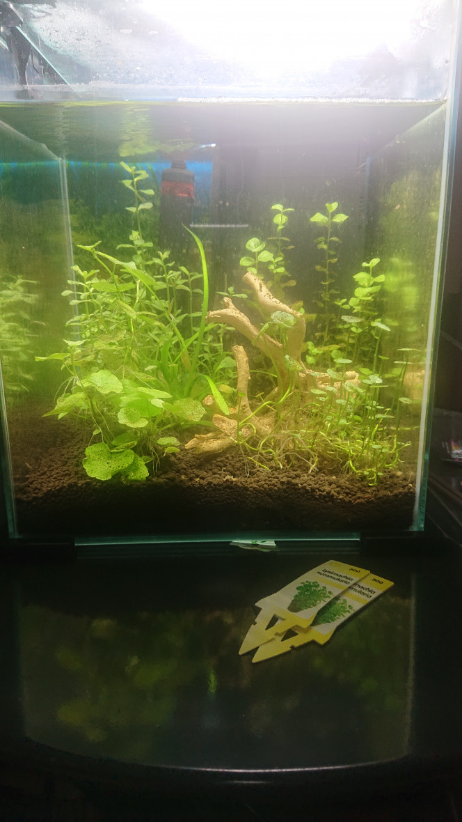 Photographie du post de jonathan-hld 