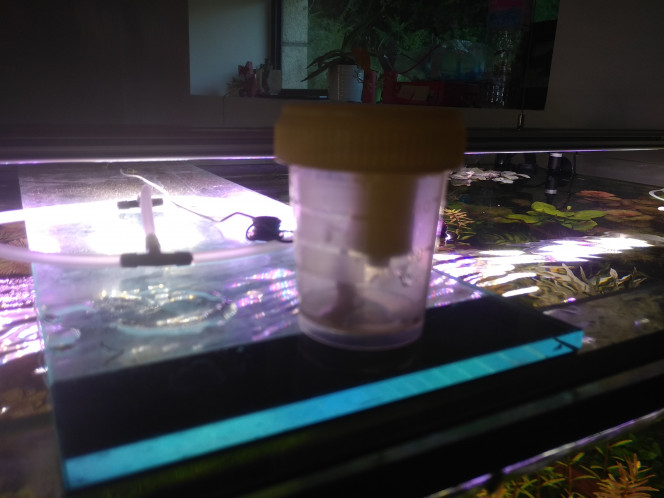 Photographie du post de Loap 