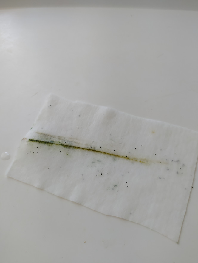 Photographie du post de Kamelot 