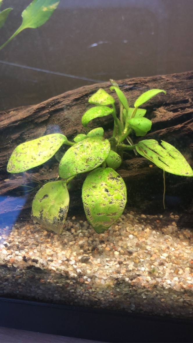 Photographie du post de luca-ollio 