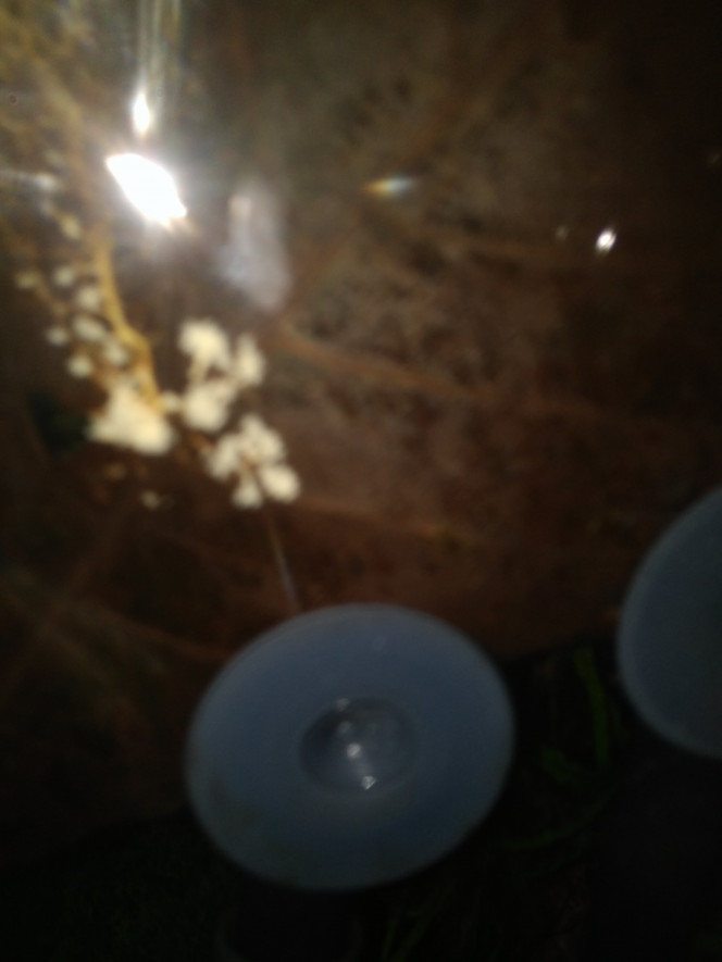 Photographie du post de Loap 