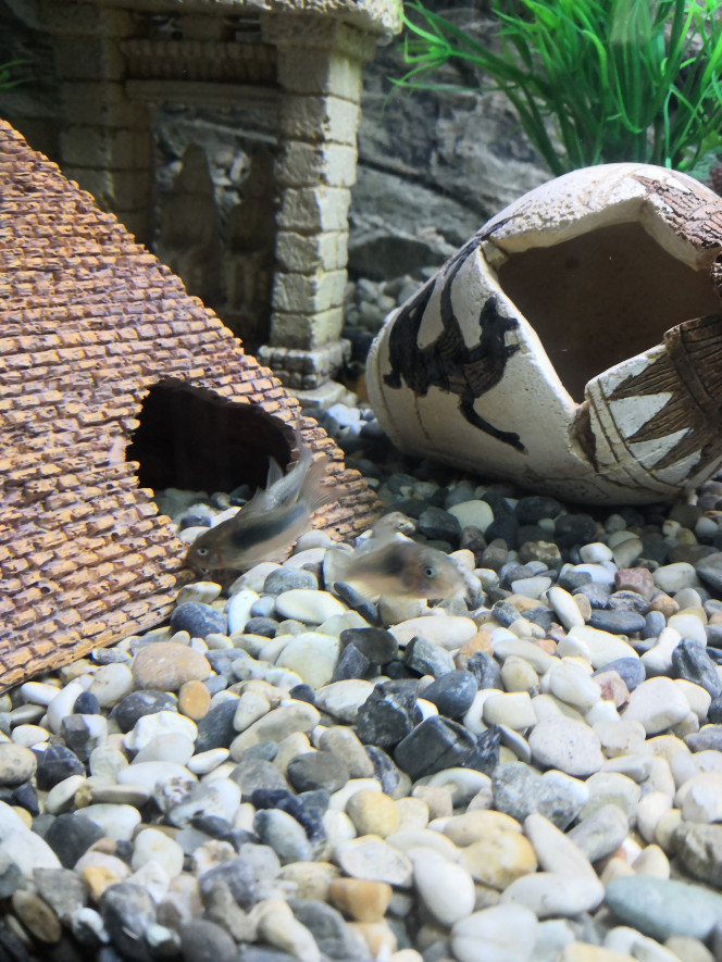 Photographie du post de philippe-rolland 