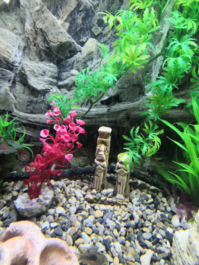 Photographie du post de philippe-rolland 