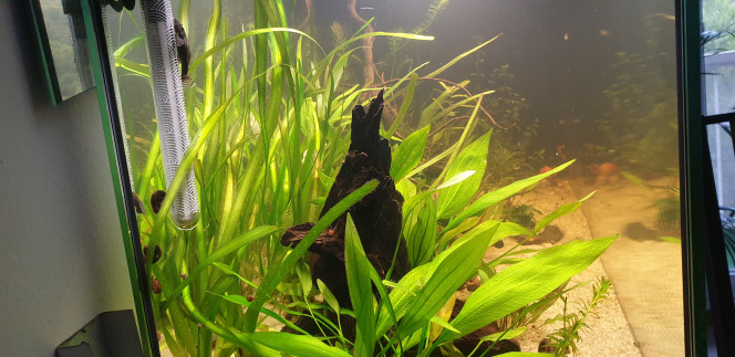 Photographie du post de Marco13 