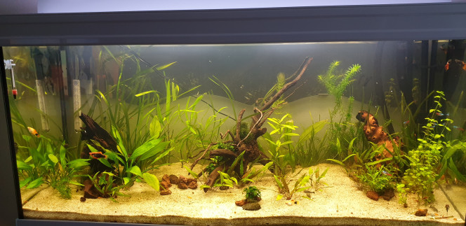 Photographie du post de Marco13 