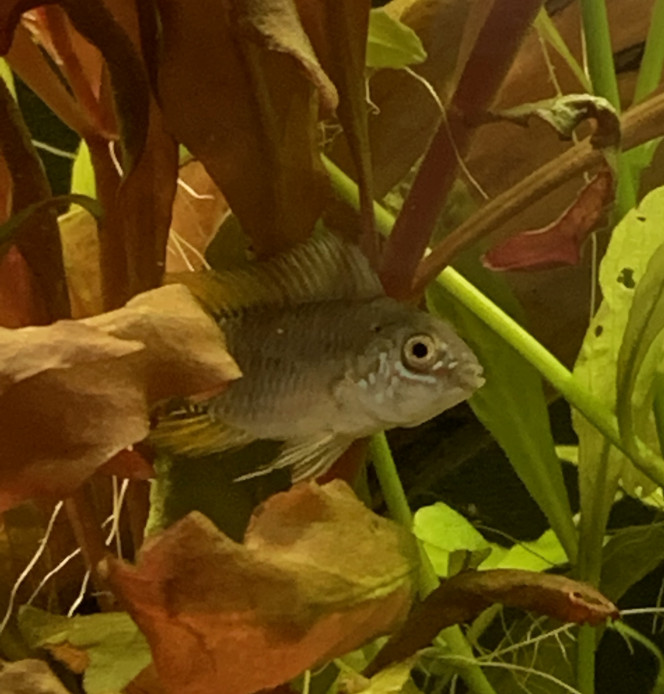 Photographie du post de OlivierTlse 