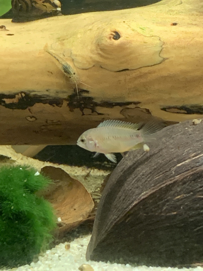 Photographie du post de OlivierTlse 