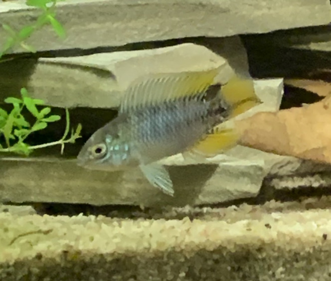 Photographie du post de OlivierTlse 