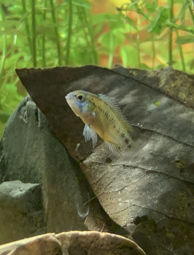 Photographie du post de OlivierTlse 