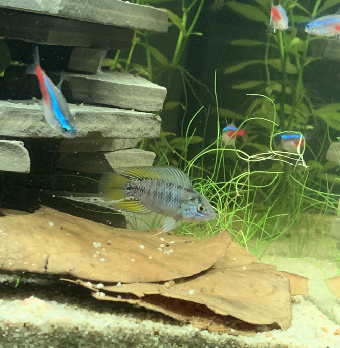 Photographie du post de OlivierTlse 