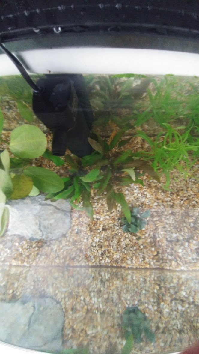 Photographie du post de Vava 