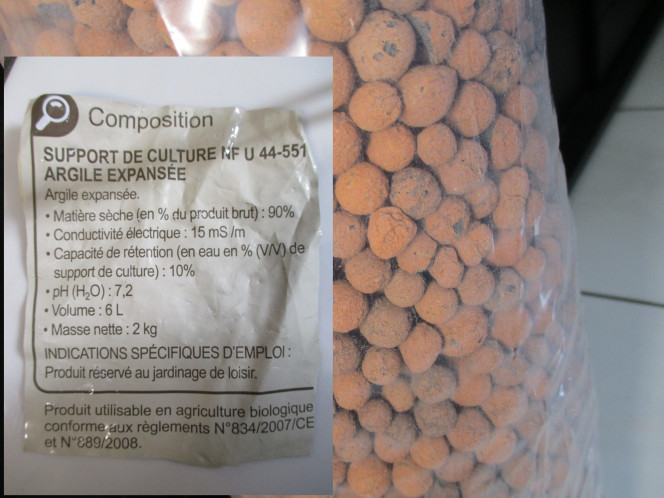 Photographie du post de Magz974 