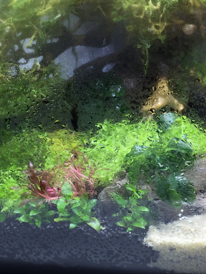 Photographie du post de mmichel20 