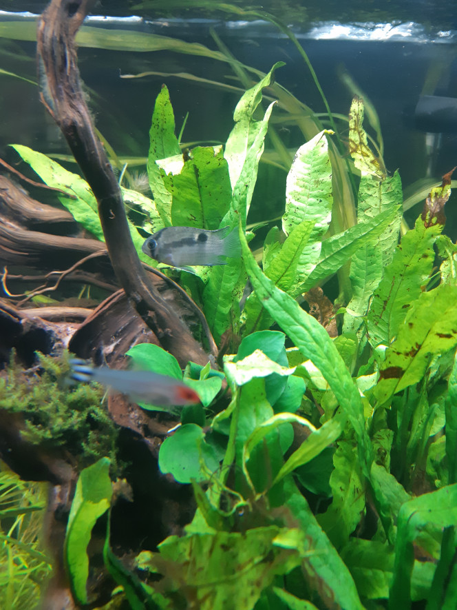 Photographie du post de Juju690 