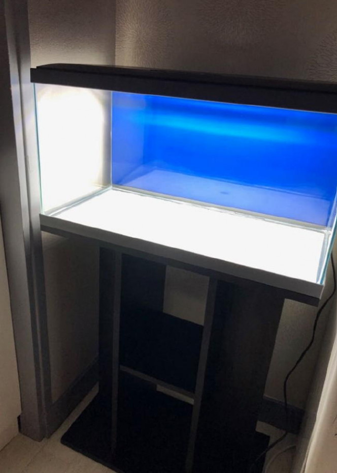 Achat de l'aquarium Achat de l'aquarium Inwa 60 (neuf) + d'un meuble (trouvé d'occasion)