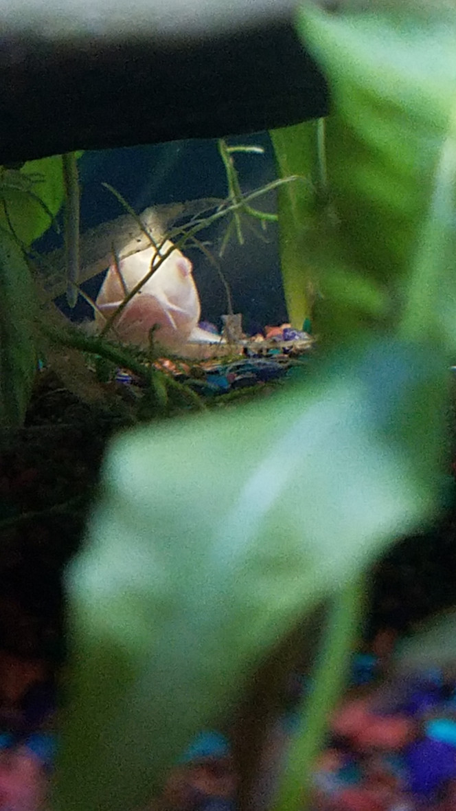 Photographie du post de Lulu82 