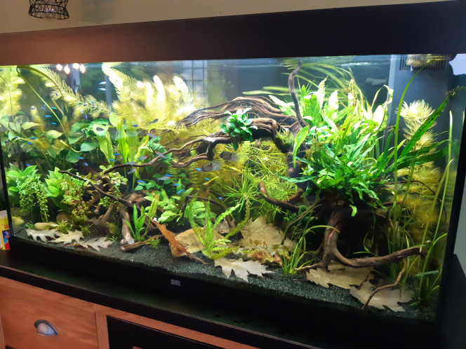 Photographie du post de Juju690 