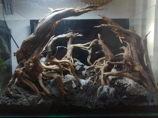  Fini le hardscape !