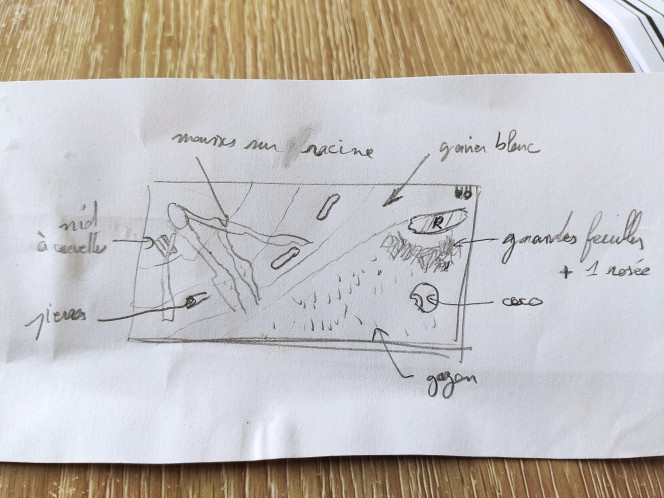 plan d'aménagement 