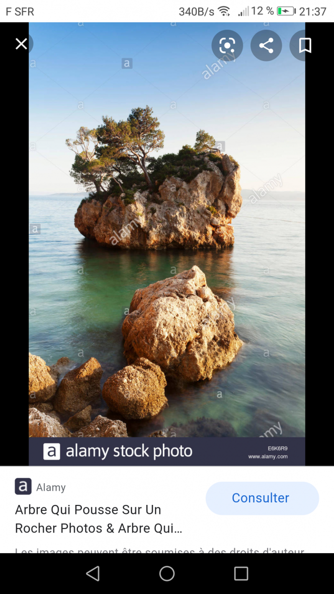 Photographie du post de Stef7524 