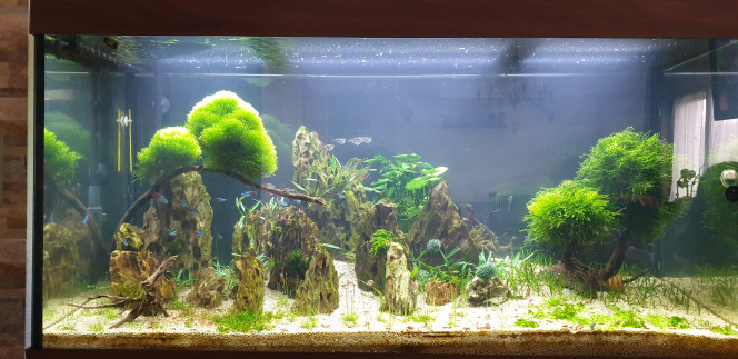 Juwel 350 