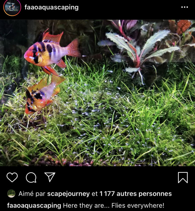 Photographie du post de Hoytibus 