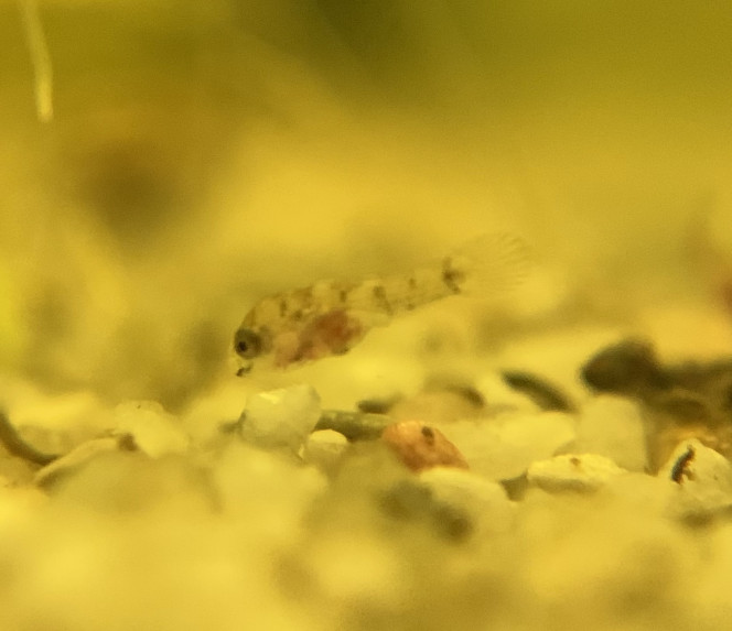 Photographie du post de OlivierTlse 