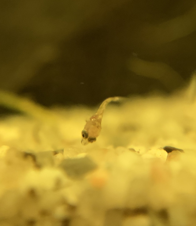 Photographie du post de OlivierTlse 