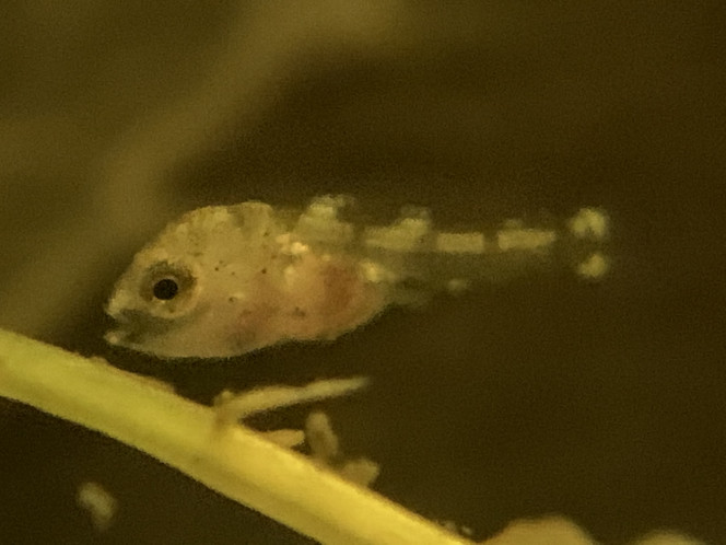 Photographie du post de OlivierTlse 