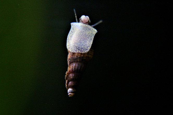 Photographie du post de MarleneMLX 