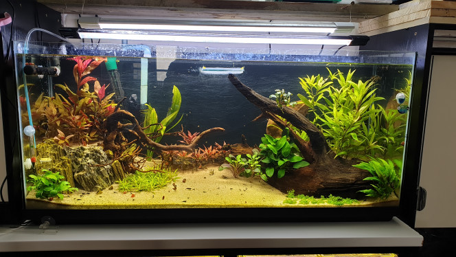 130L 