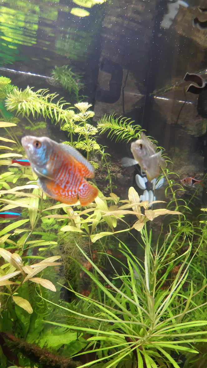 Photographie du post de Fouch1 