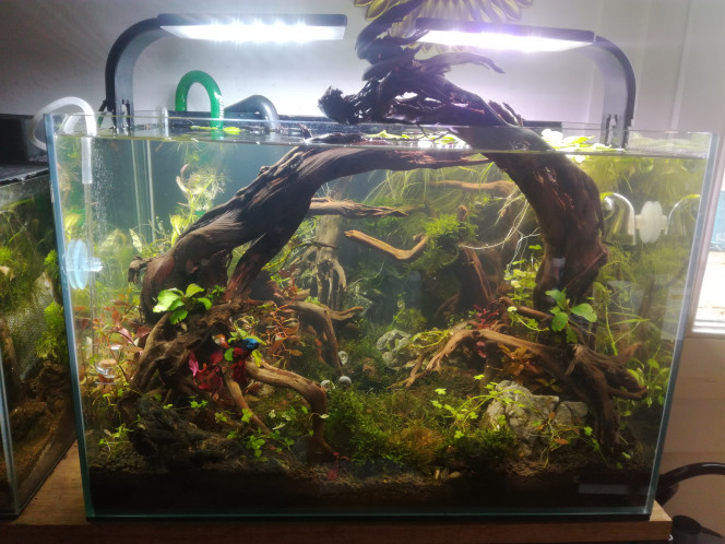  Héhé ça prend forme doucement.