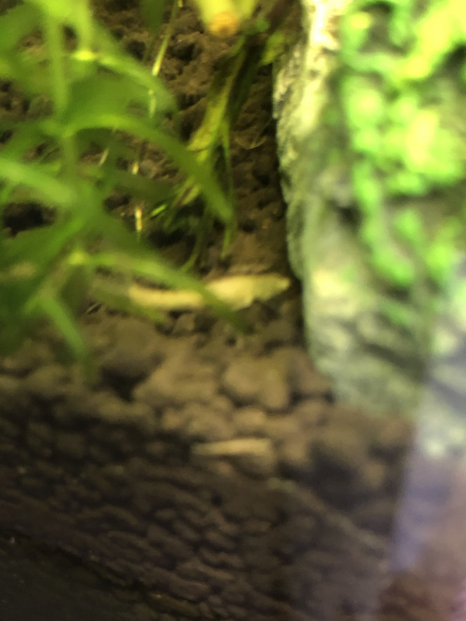 Photographie du post de Tomilie 