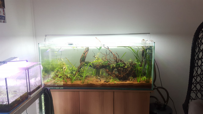 enfin en eau ! Enfin en eau en attendant l'arrivé de nouvelle plantes :)