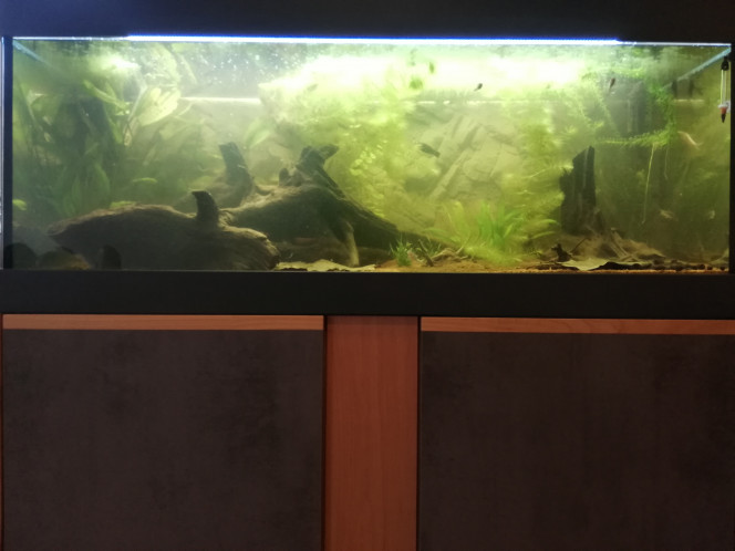 Amazonien low-tech 