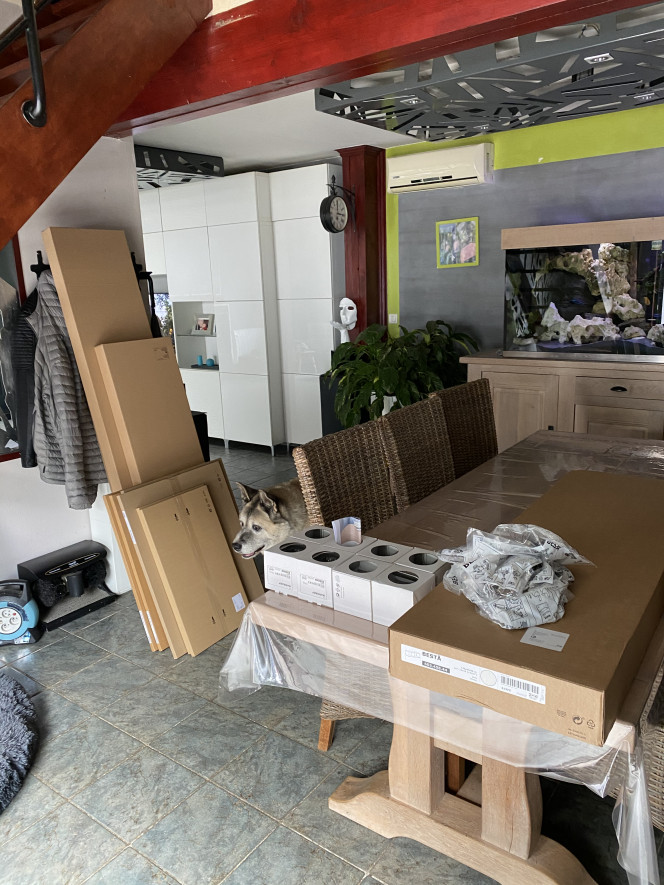 Photographie du post de reynald-r 