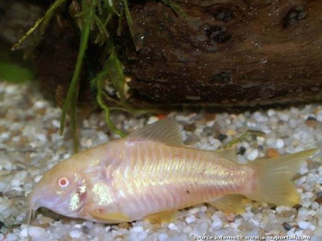 Photographie du post de LouisDup1205 