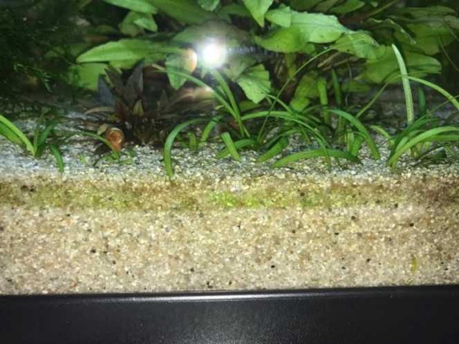 Photographie du post de Aquata 