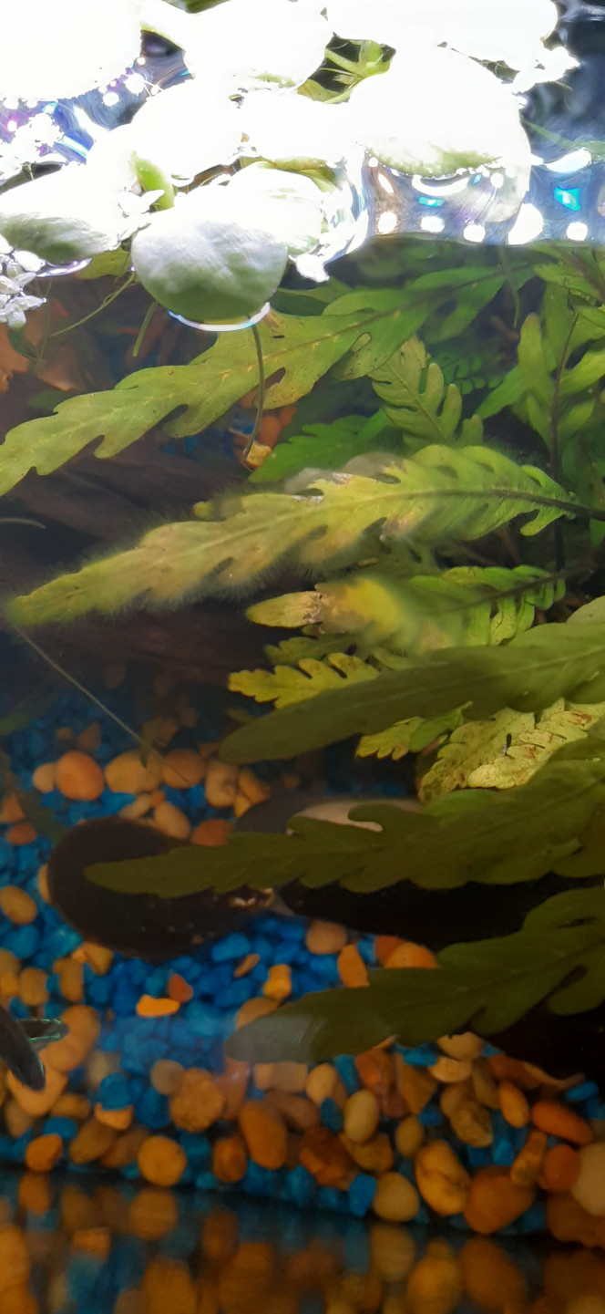 Photographie du post de alexandre-langlois 