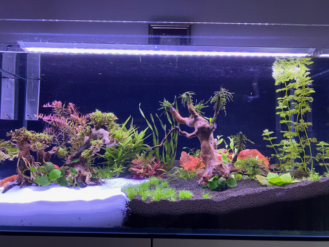 Nouveau décor 