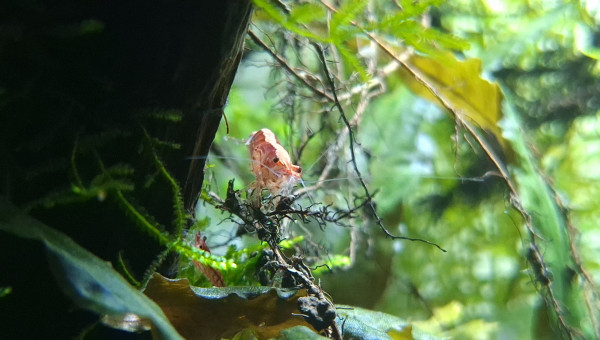 Modification de l'éclairage.