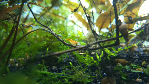 Modification de l'éclairage.