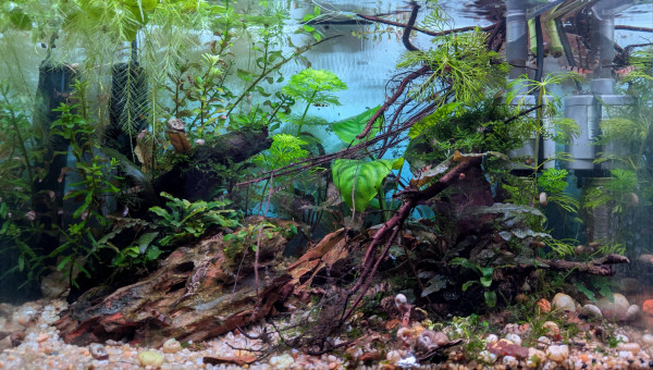 On a rangé le sapin