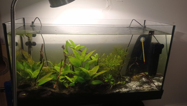 photo récente du bac