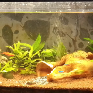 120L
