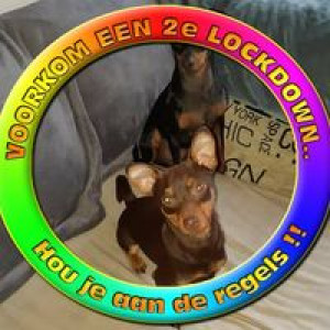 fabienne-buyck