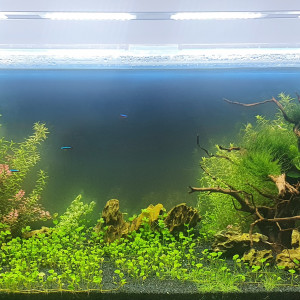 300L